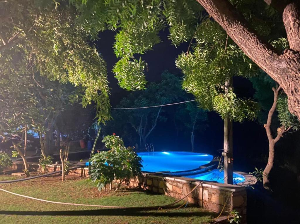 Amaltas Villa Udaipur Dış mekan fotoğraf